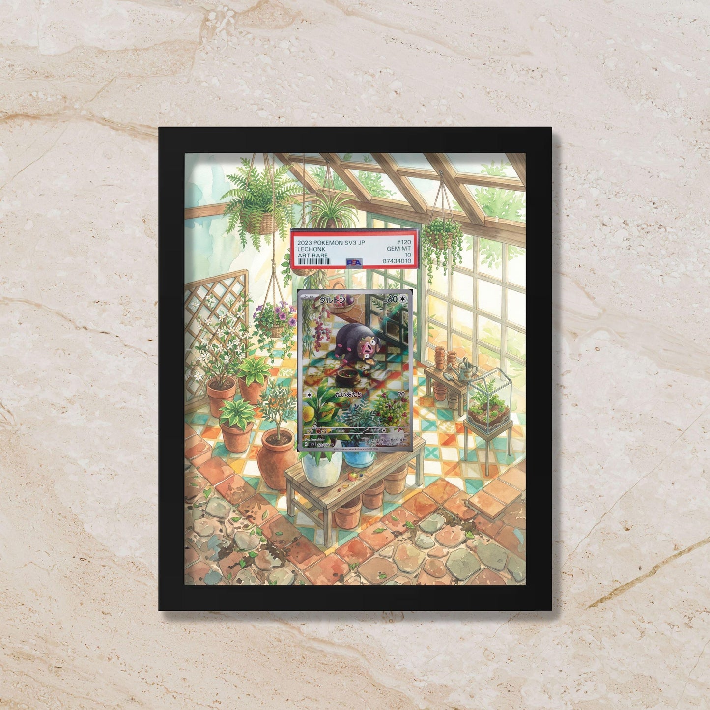 Lechonk Extended Art Display Frame | 8x10 (Raw/Graded Cards)